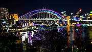 VIVID Lights Cruise